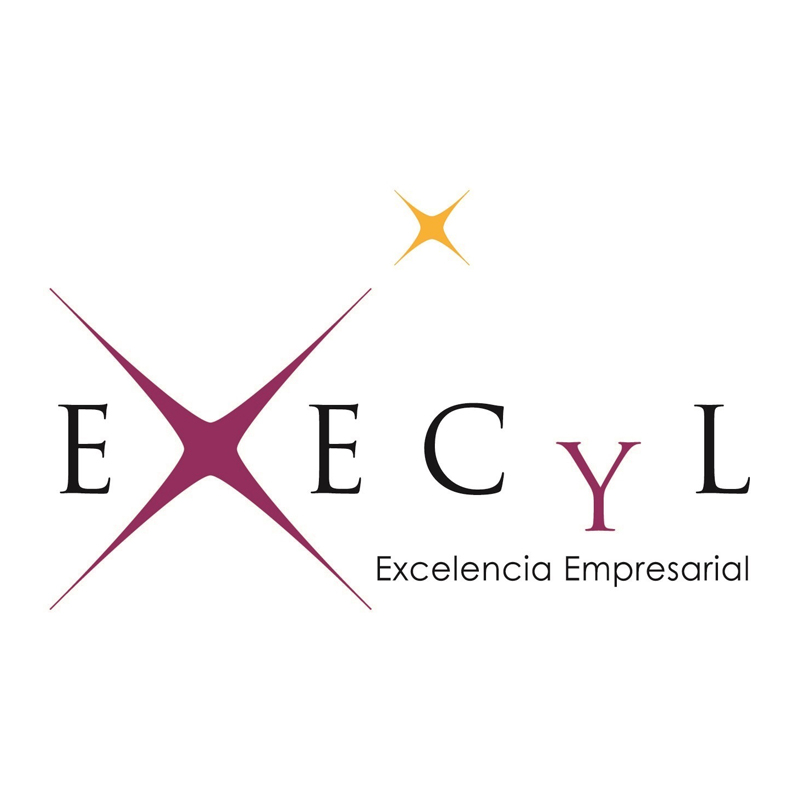 Logo Execyl